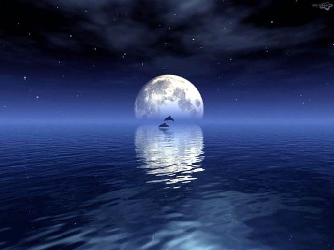 千江有水千江月,千里有水千江月下一句