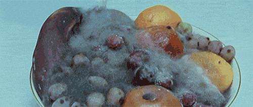 发霉的食物致癌？那怎样才能避免发霉