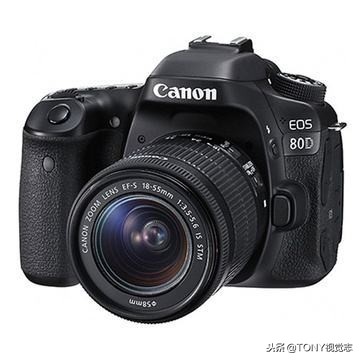 佳能尼康全幅单反相机推荐,佳能和尼康入门级单反推荐