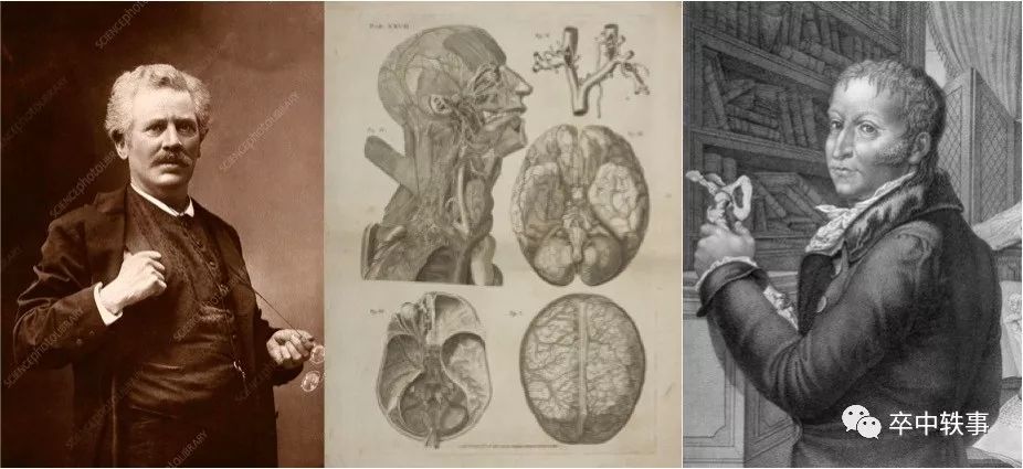 Schwalbe发现脑脊液-淋巴通路