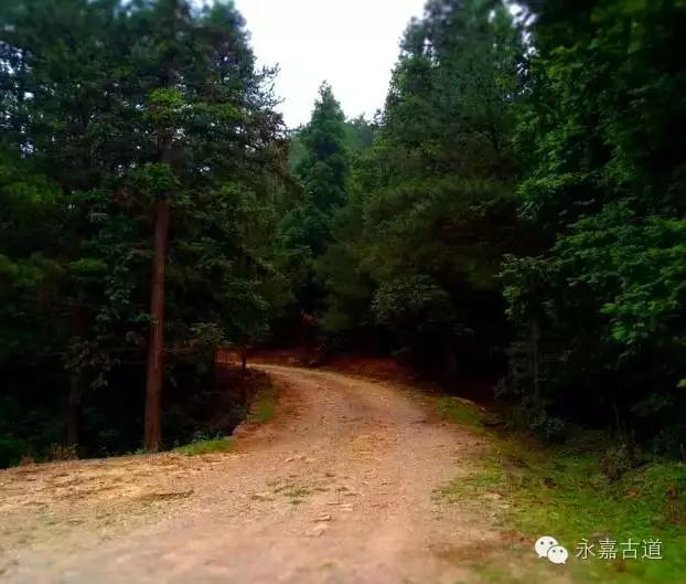 温州四海尖上观日出,初阳如血,美轮美奂,绝无仅有