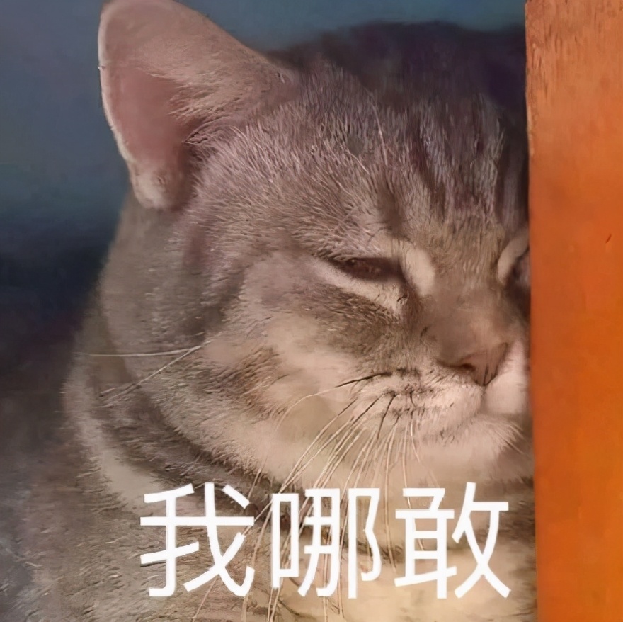 好困不想努力了表情包是什么意思,不想睡觉睡醒了就要上班了表情包