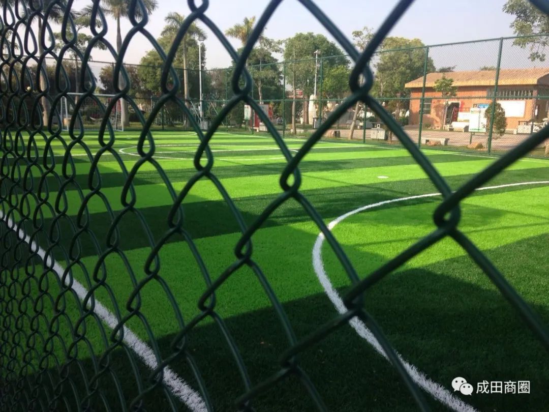 成田文体公园国庆,成田镇文体公园