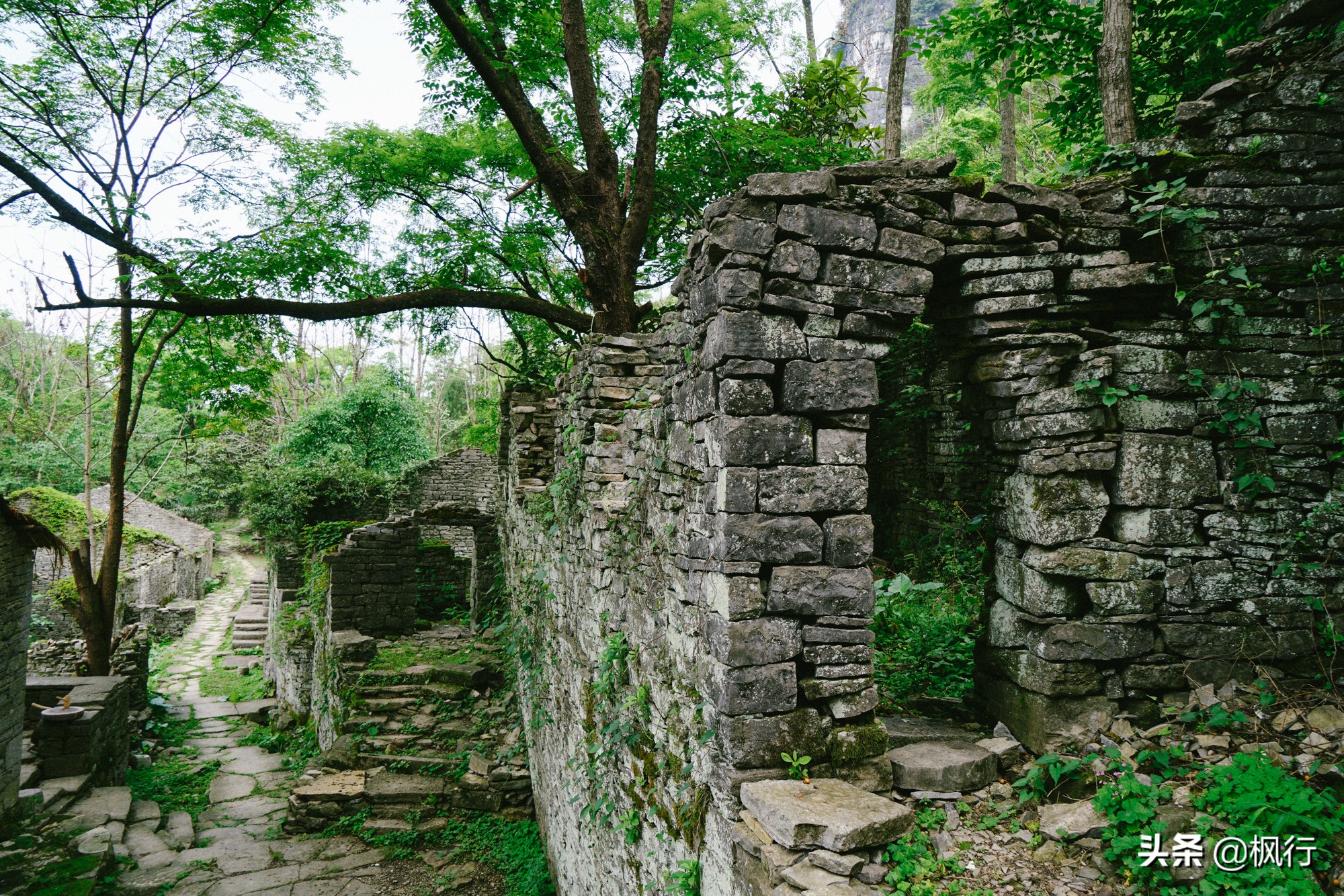 桂林阳朔旅游攻略一天半,最详细桂林阳朔旅游攻略