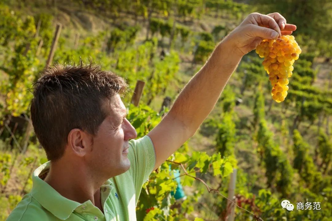 世界上超贵的起泡酒,世界著名起泡酒