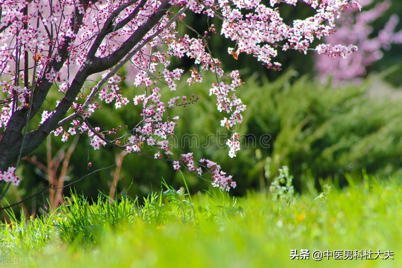 中医说的心脾两虚是什么意思,心脾两虚恢复症状