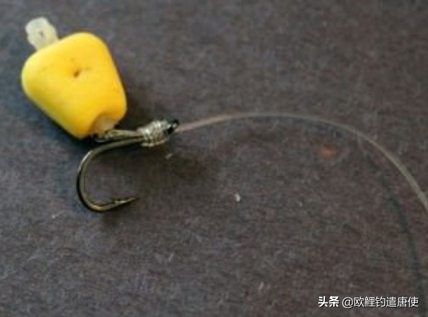 话说欧鲤钓最新消息,话说欧鲤钓鱼完整版