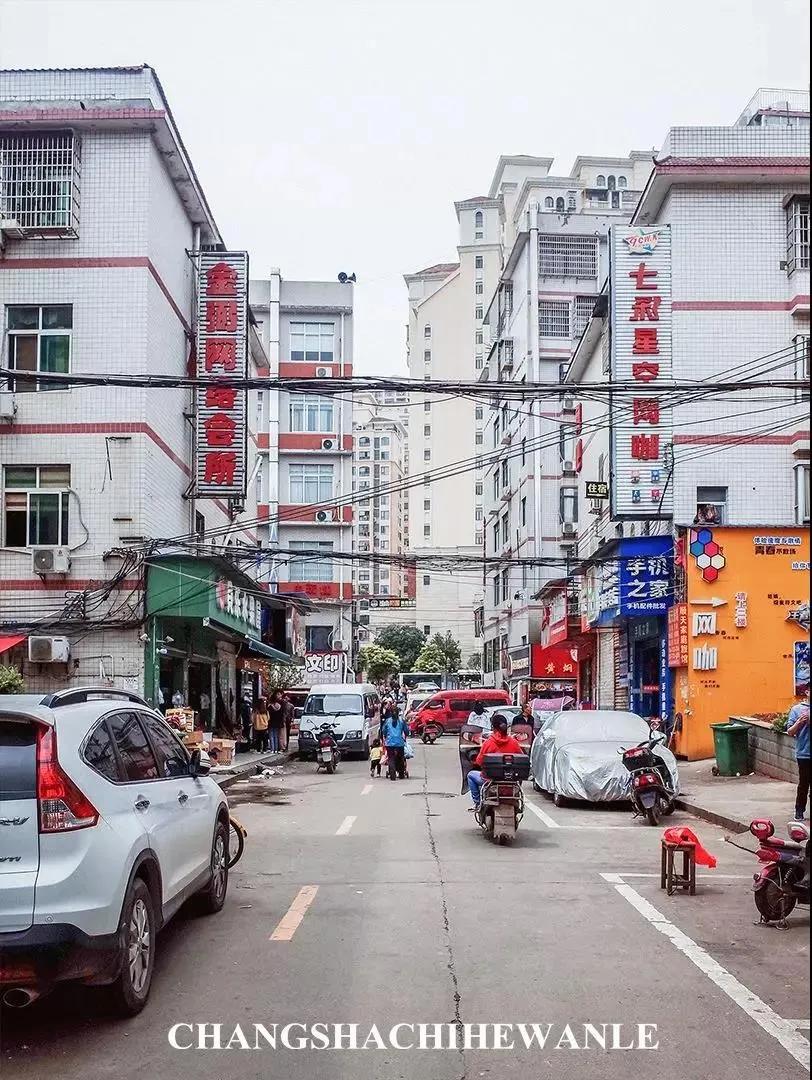 母校我想你,想你母校