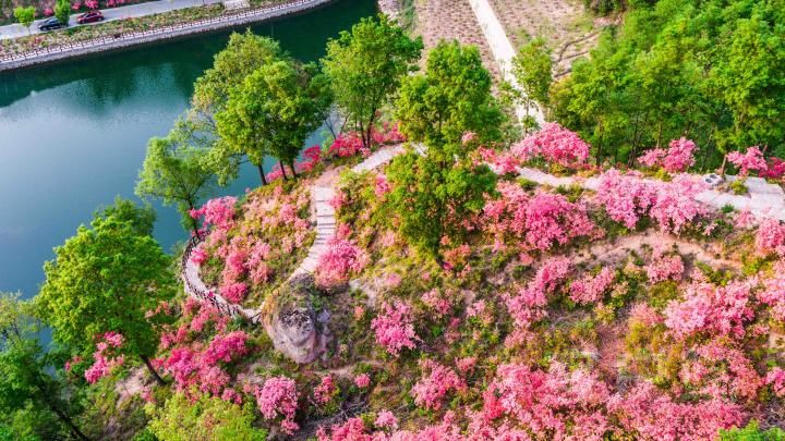 汝阳2020收入,接待游客人数和旅游综合收入