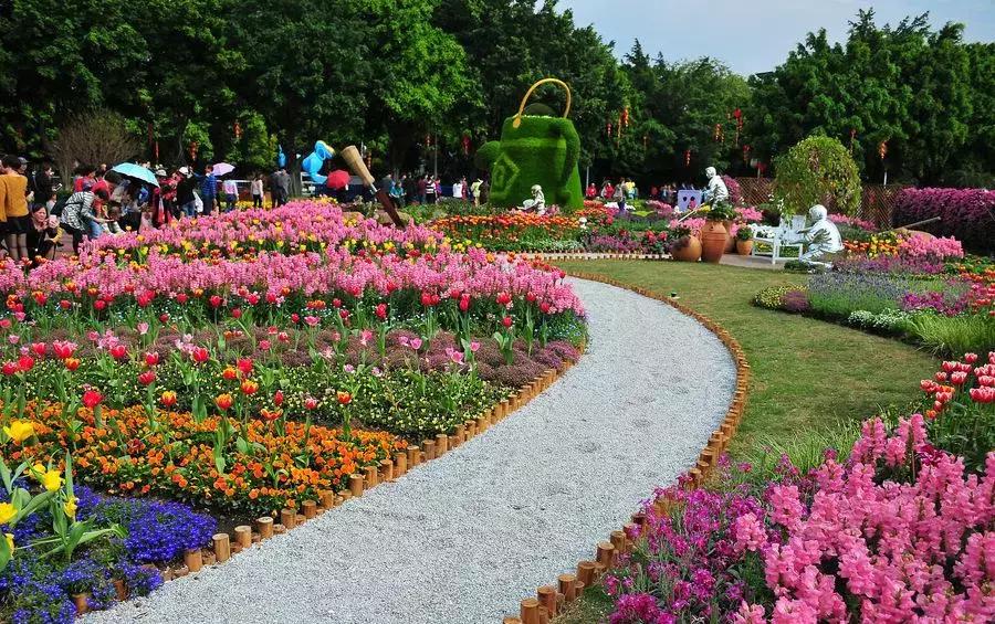 广州现在赏花哪里最好,广州各区赏花全指南