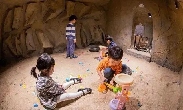 深圳暑假值得带孩子旅游的地方,深圳十大暑假室内必去景点