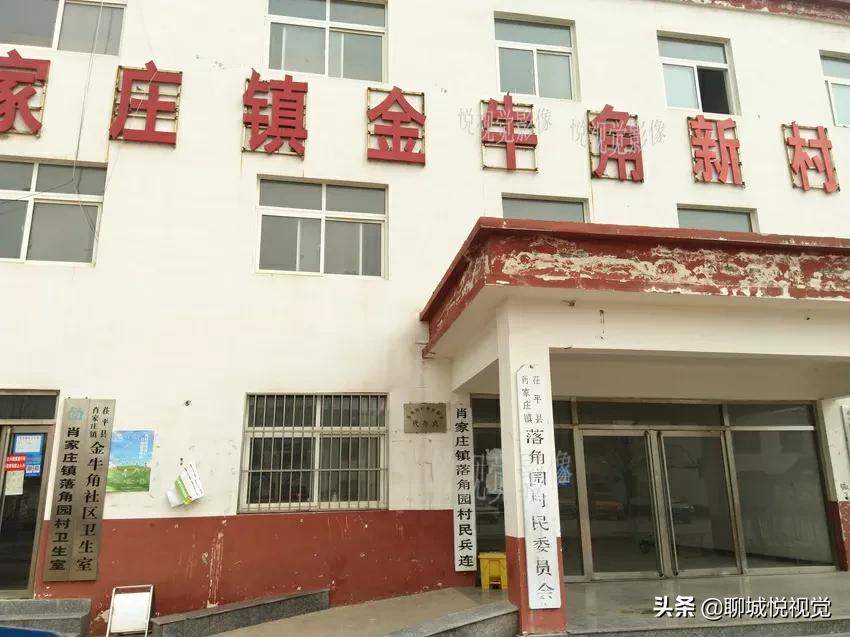 茌平“菜瓜打金牛”,王菜瓜啥也没得到,罗家园落下金牛角