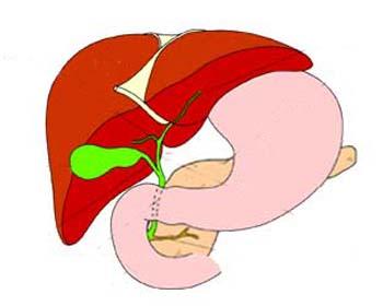 肝囊肿为什么会变成肝癌,肝囊肿怎么发展成肝癌