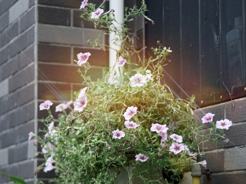 成都机场附近快捷酒店推荐,暑假成都旅游住宿