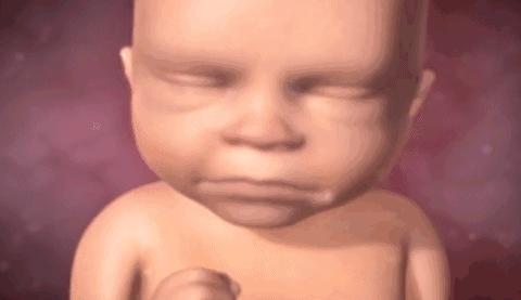 胎儿一般多大胎动比较明显,几个月胎儿可以明显看出胎动