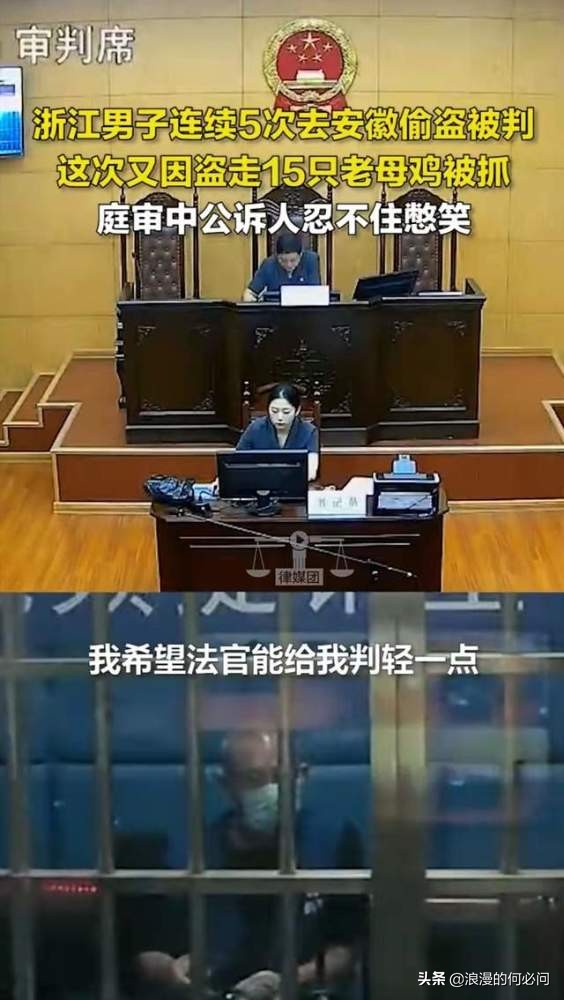 从肥东到肥西买了一只老母鸡,从肥东到肥西买只老母鸡的含义