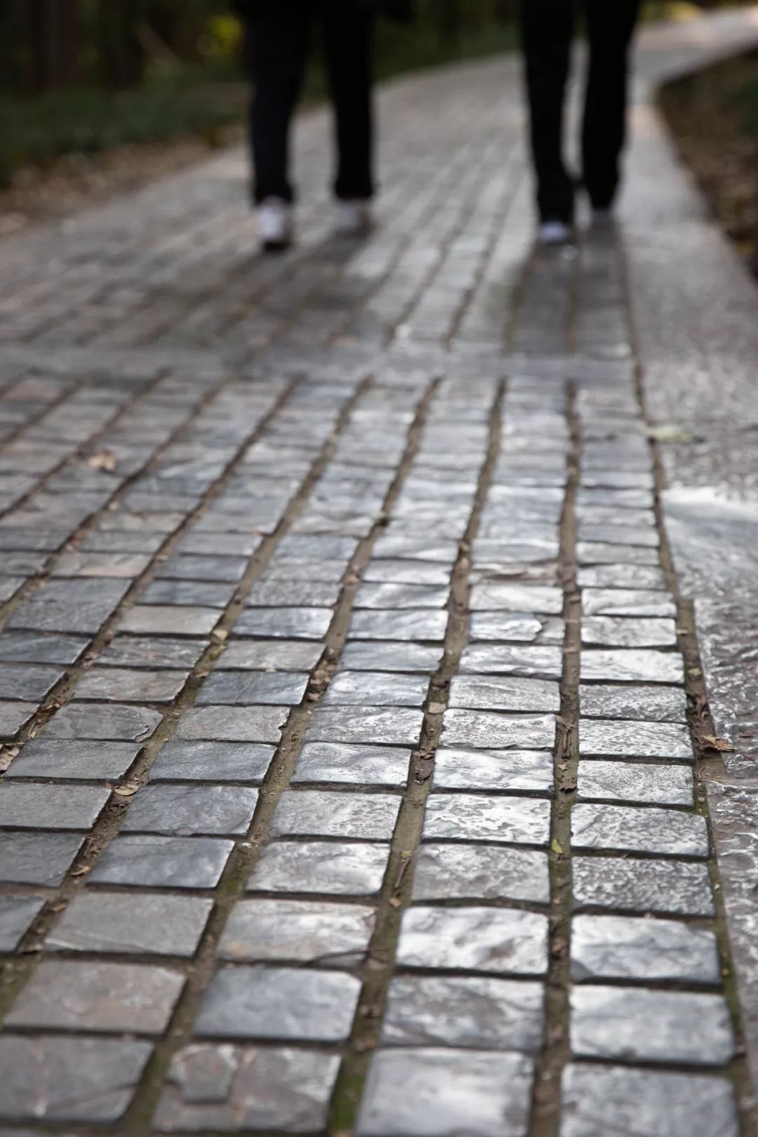 西安金陵十二时辰,南京金陵十二时辰视频