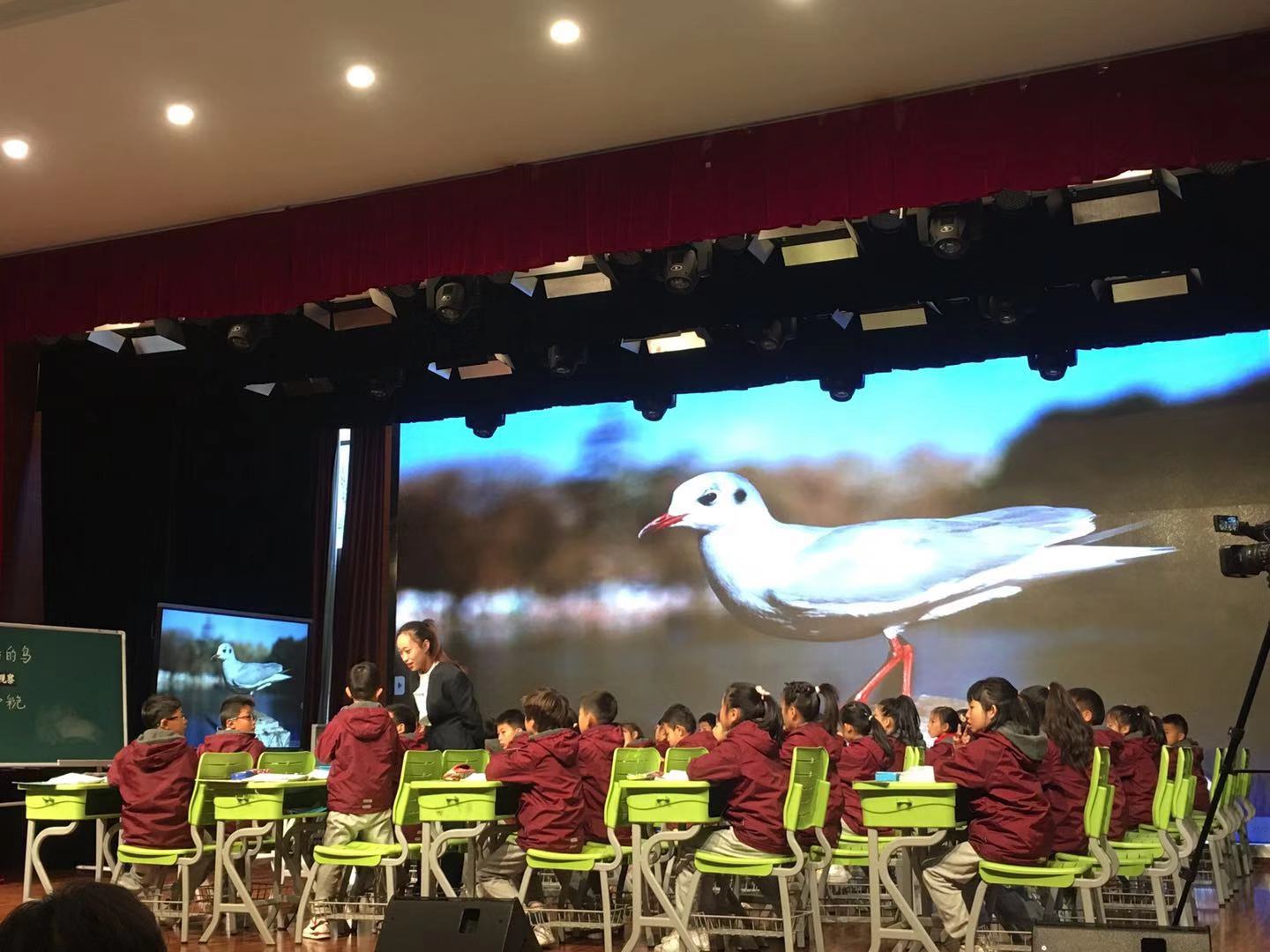 昆明北市区的小学,昆明西南联大小学呈贡