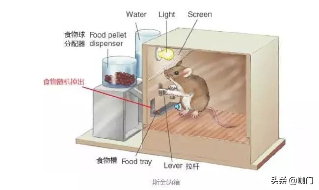 喝奶茶变成有钱人了,一杯奶茶赚60万