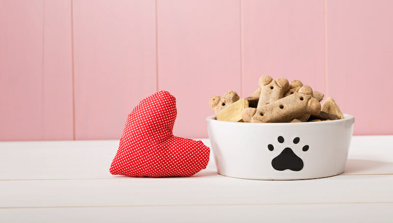 狗狗有口臭好烦铲屎官应该怎么办,狗狗有口臭是细小吗