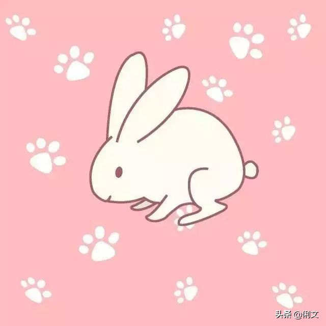 100个简笔画小动物超简单一年级,简笔画小动物100种可爱表情包