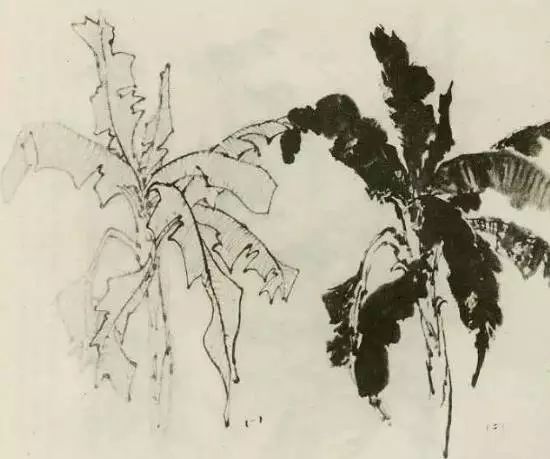 怎样画树画得好看,怎么画树最简单而且还最好看