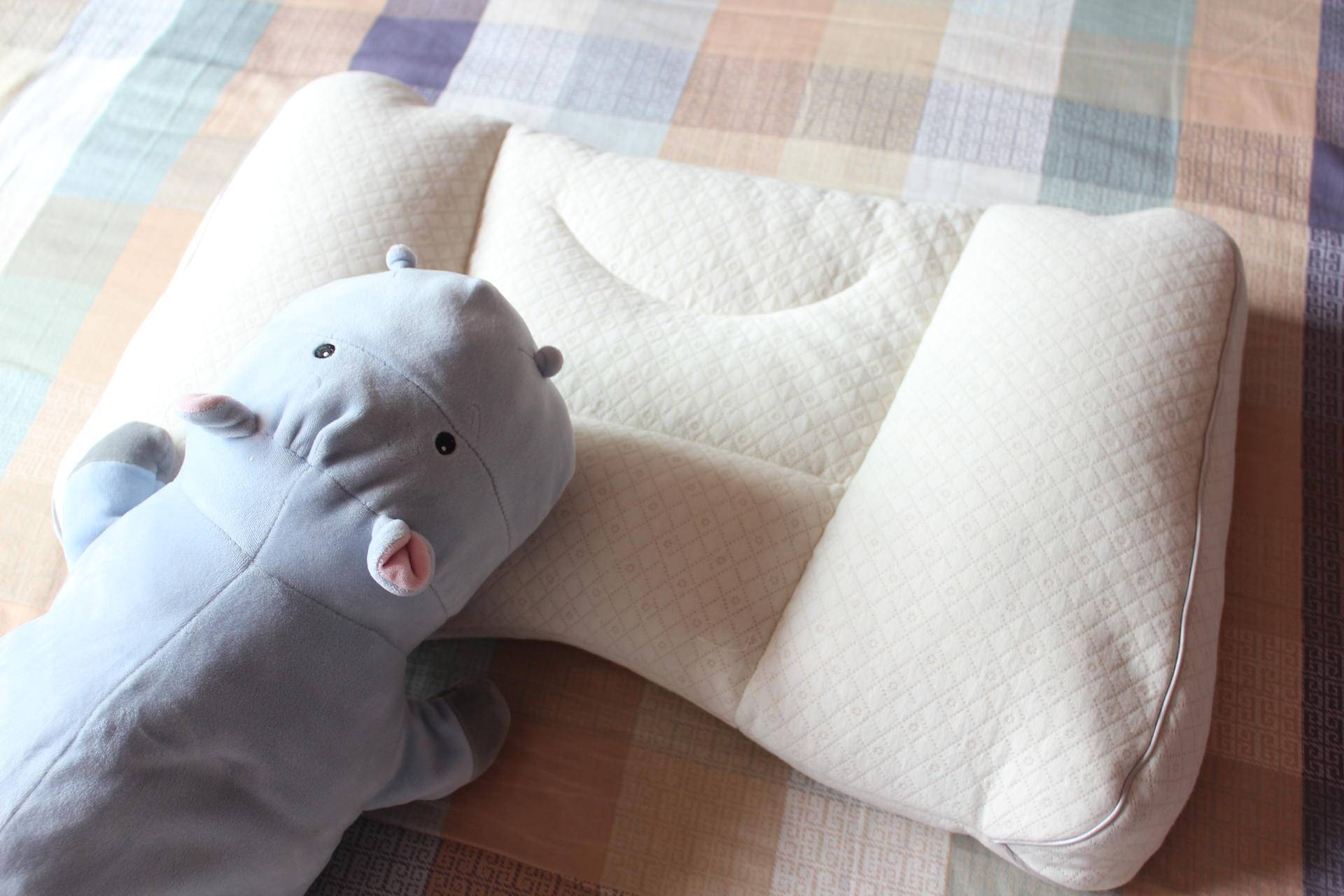 想要一个好梦,想要一个超好用的枕头