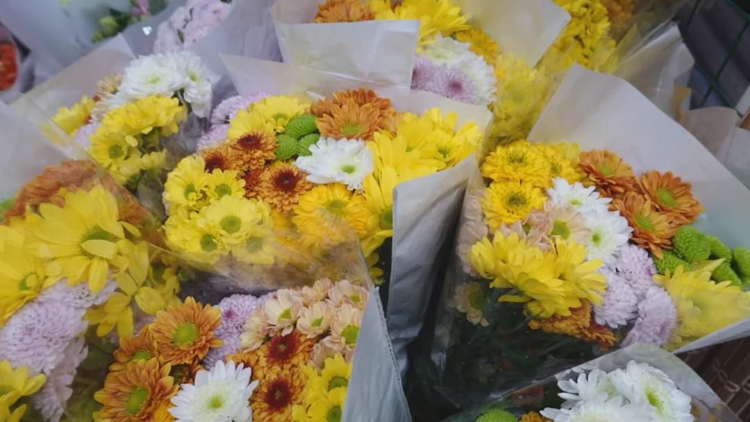 乌鲁木齐附近最便宜的花市,乌鲁木齐市花街在哪里