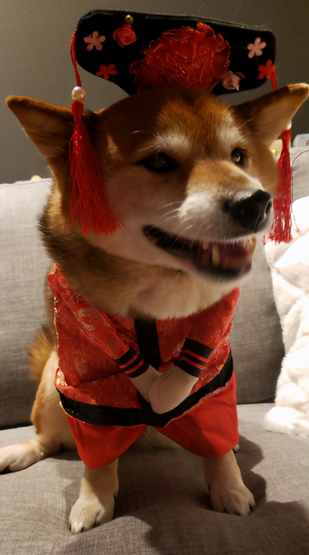 中国尿盆在美国高价热卖！放红酒当果盘，外国人这么好骗吗哈哈哈