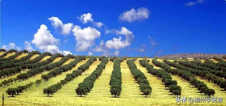 10个冷知识中文,西班牙十条冷知识