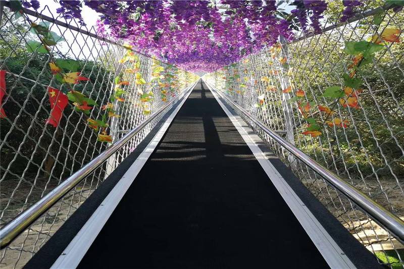 景区网红项目,景区网红项目翻车现场