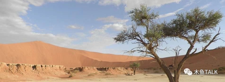 乘最奢华的火车，品不一样的非洲