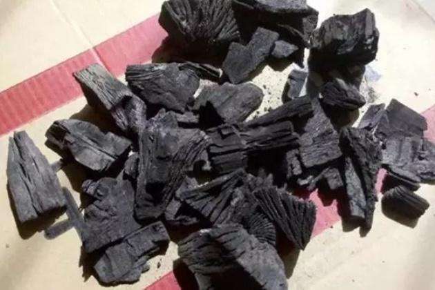 想让文竹长新芽,文竹怎么才能多发新芽