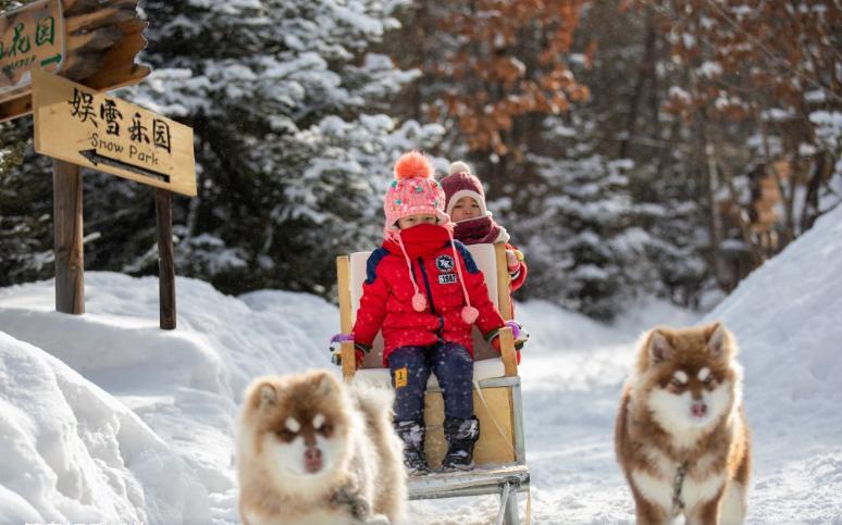 长白山住宿价格一览表,长白山旅游住宿攻略