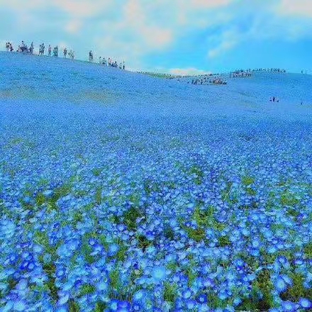 星际双强纯爱推文,纯爱推文甜宠娱乐圈