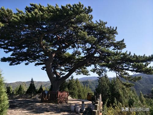 中阳两座山，柏洼山中有“三绝”，上顶山上一奇观