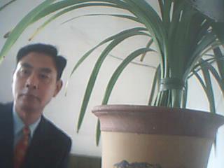 诗词中含有成语的古诗,诗词成语摘抄