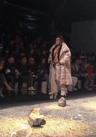 陈志朋恨天高,恨天高四角裤图片