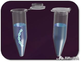 科研绘图流程模板,科研绘图教程