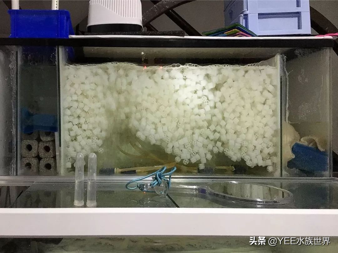 培菌净水最好的装置,高效培菌快速净水