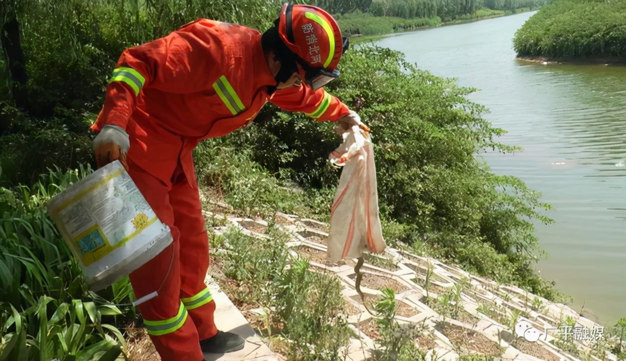 男子上厕所时被蛇咬伤,男子上厕所马桶竟然窜出蛇