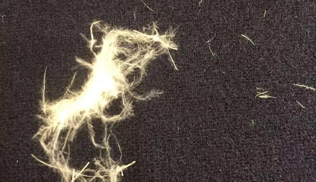 羽绒服行业内幕 (中国羽绒服发展现状)