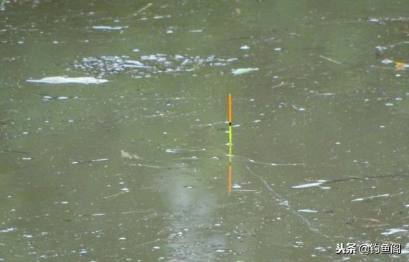 鱼竿太长看不清浮漂怎么办,鱼竿太长提不动怎么办