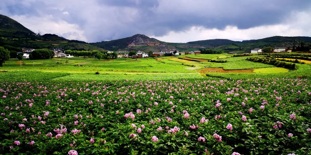 2023平遥国际摄影节获奖摄影作品,2009大理摄影展获奖作品