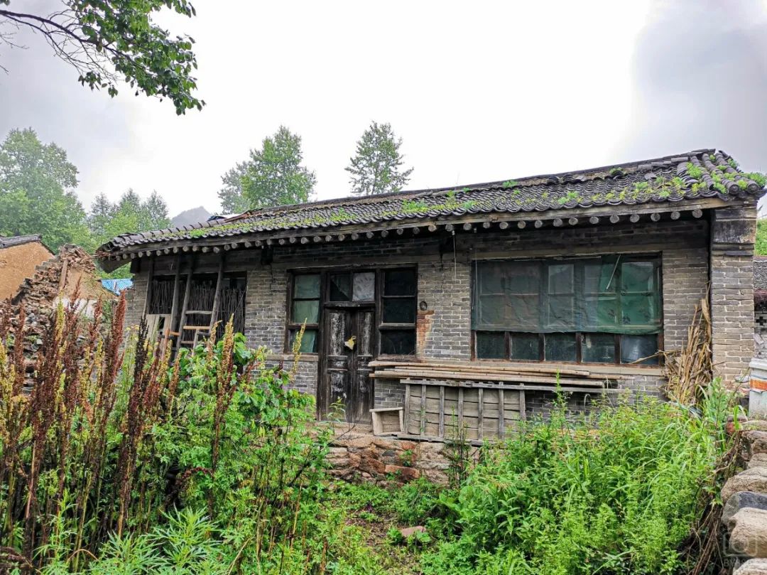 徒步穿越北驼梁完整版,穿越花海古道游记