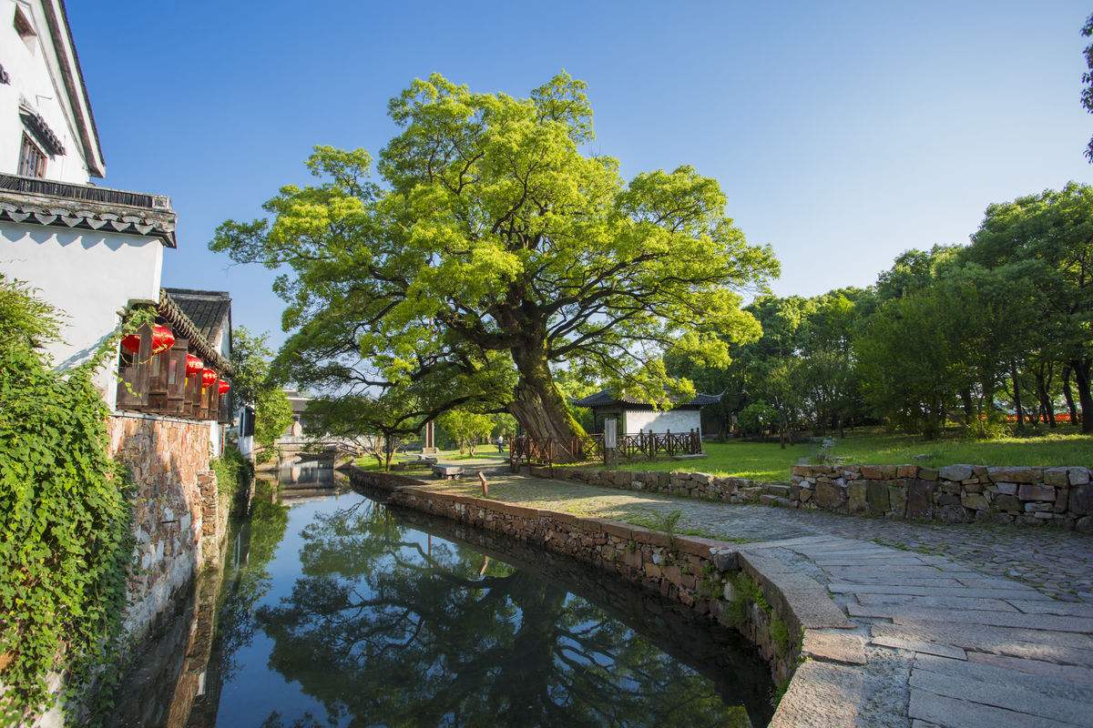 苏州西山红叶最佳观赏期,苏州西山小众打卡地