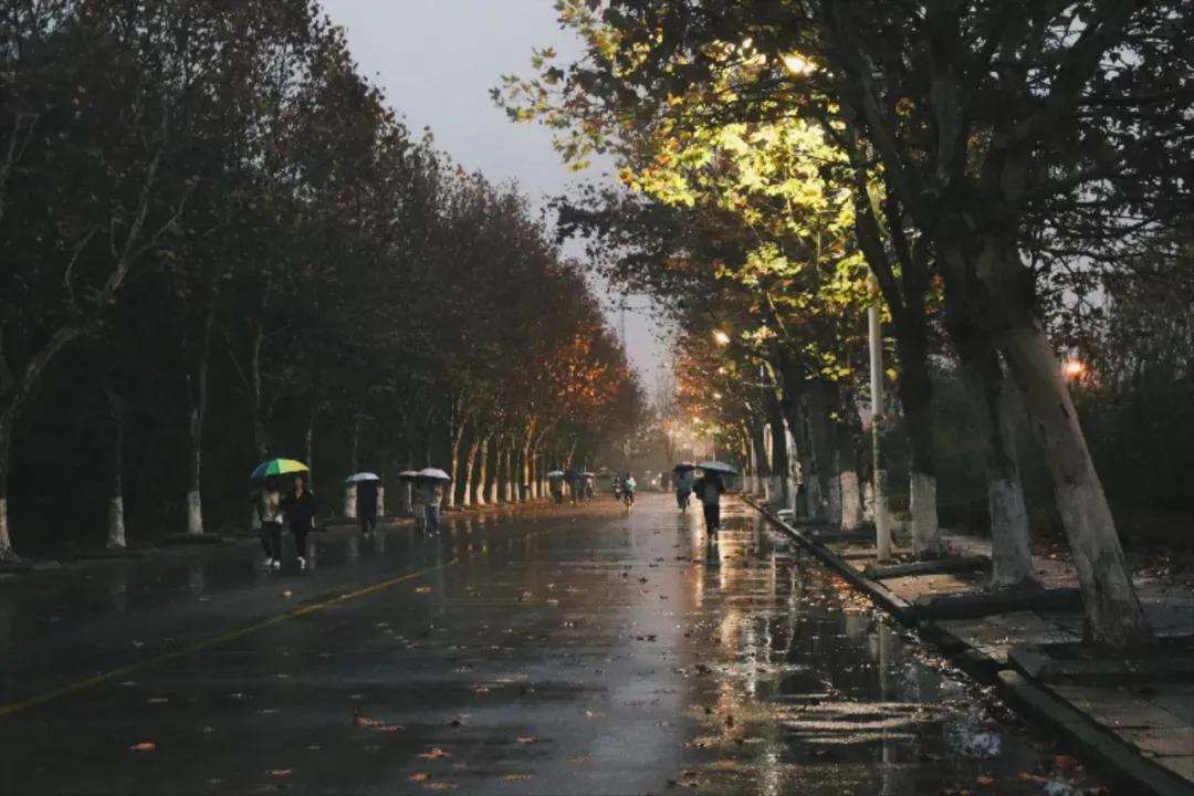 江苏财经大学,南京财经大学双非院校排名