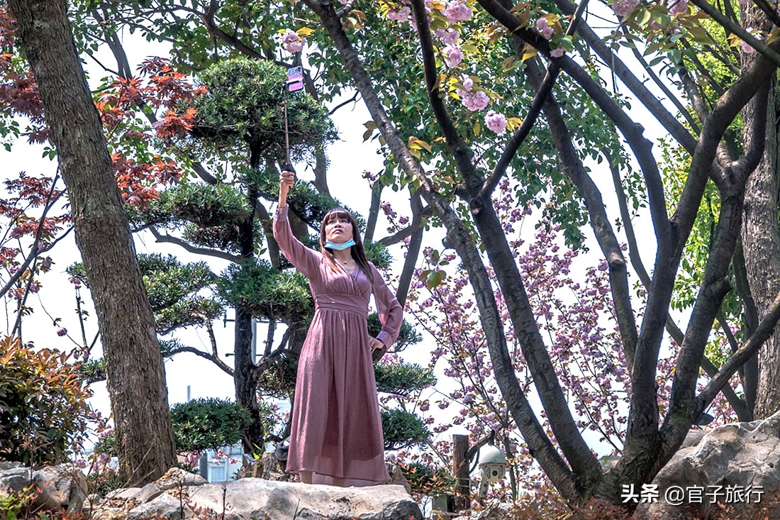 江苏省苏州市寒山寺枫桥夜泊之旅,苏州枫桥夜泊寒山寺要门票