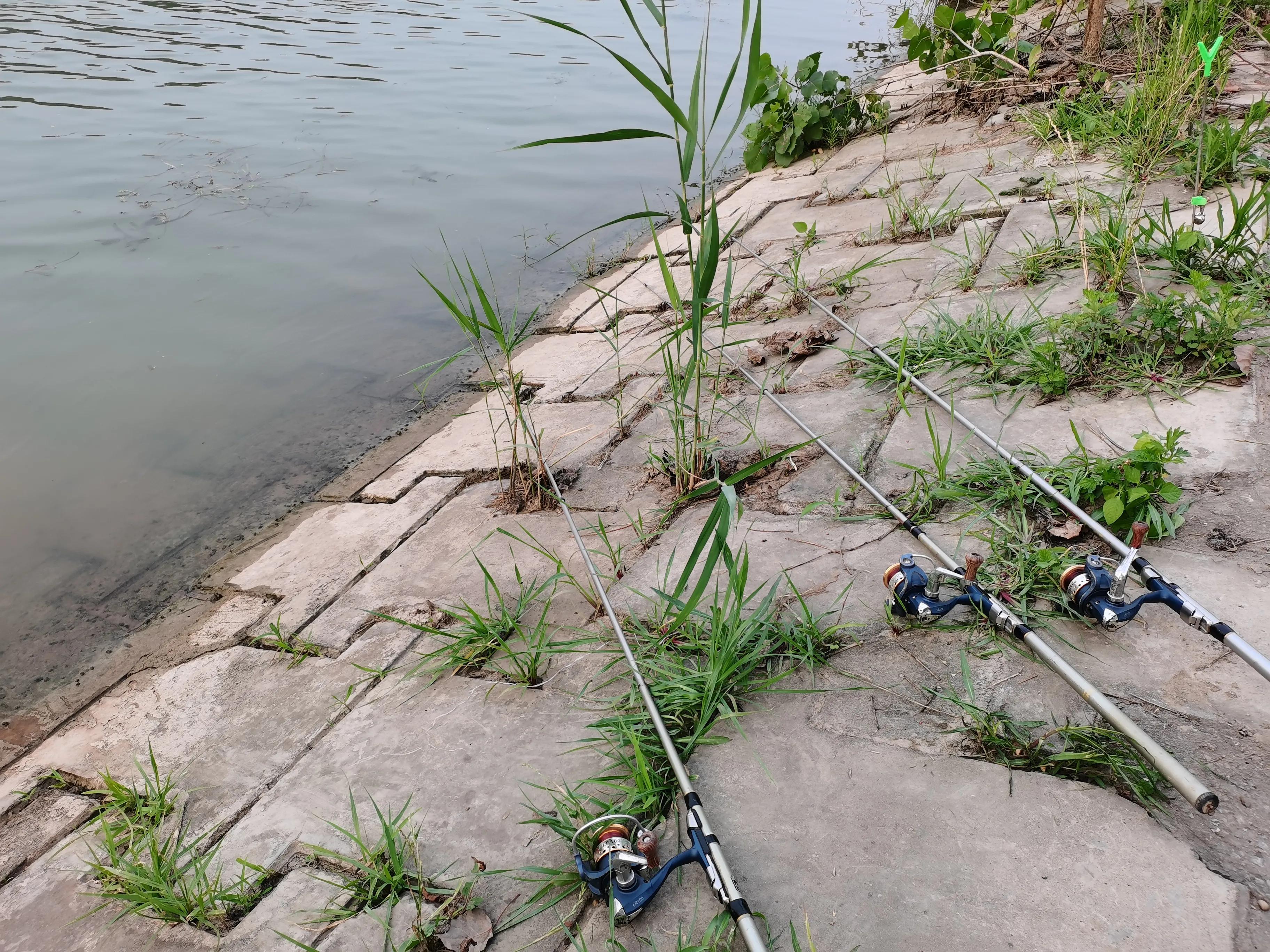 新手入门矶钓禧玛诺纺车轮推荐,矶钓新手入门教学视频