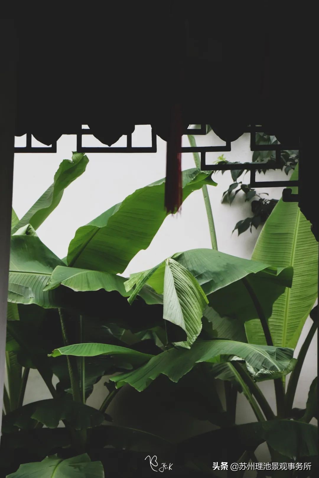 给我讲解一下拙政园的来历,拙政园最完整的讲解